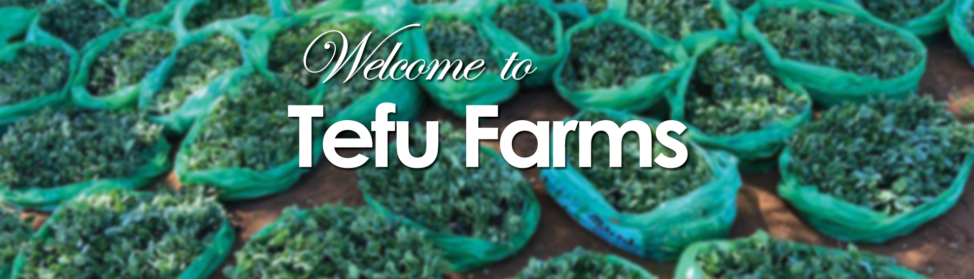 GaTefu-Agri-dev-Sliders-1.5