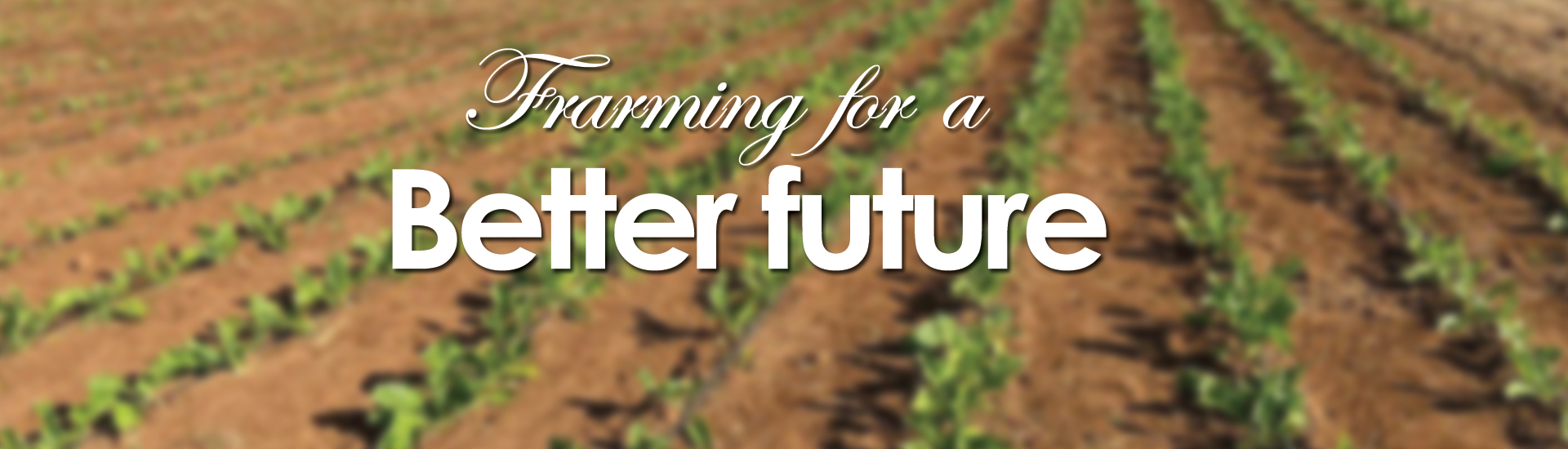 GaTefu-Agri-dev-Sliders-1.6